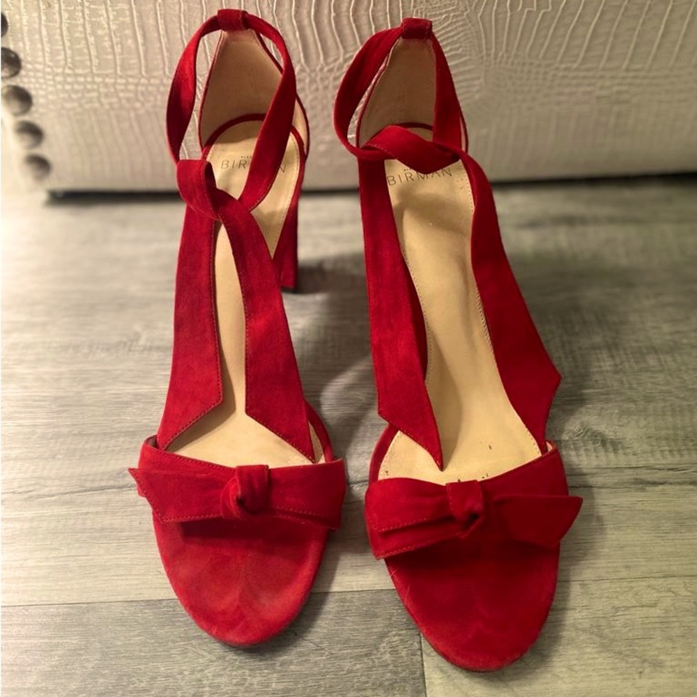 Alexandre BIRMAN Suede Pumps Size 40